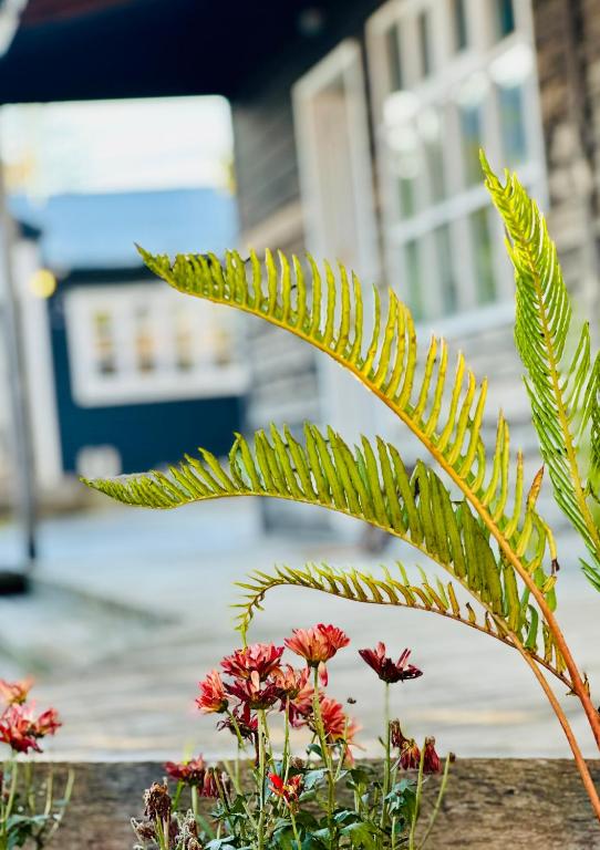 a plant with red flowers in front of a building at El Establo in Puerto Natales