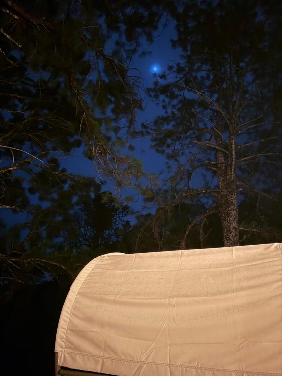 Fotografie z fotogalerie ubytování Safari Glamping By Ohana Green Home v destinaci Alto del Mamey