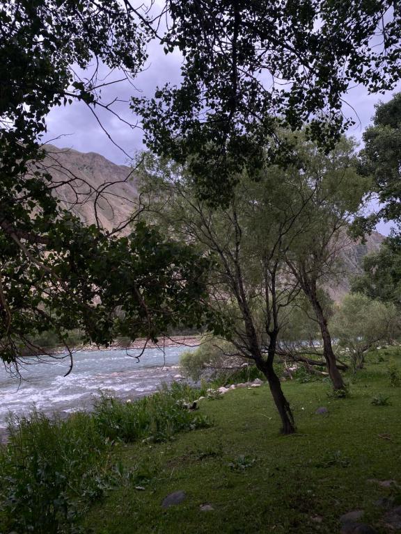 Φυσικό τοπίο κοντά σε αυτός ο ξενώνας