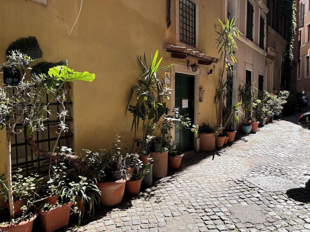 la casa di lola