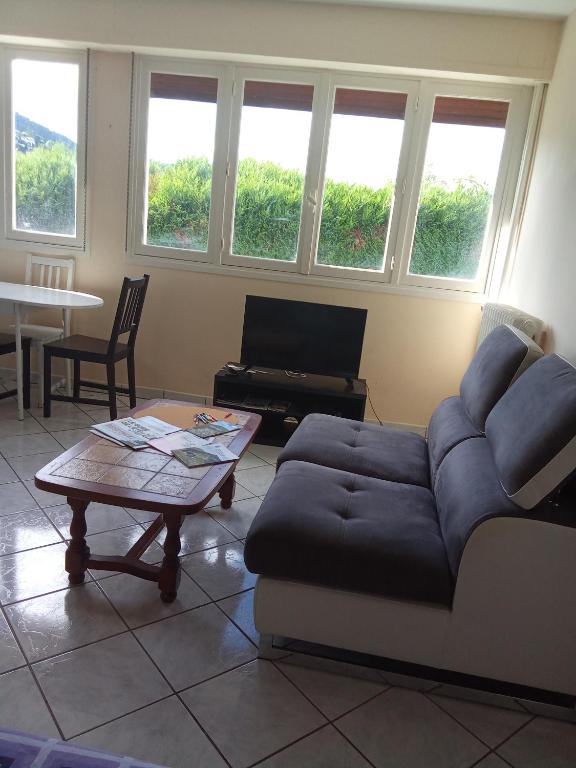 un salon avec un canapé et une table basse dans l'établissement Studio calme et confortable, à Royat