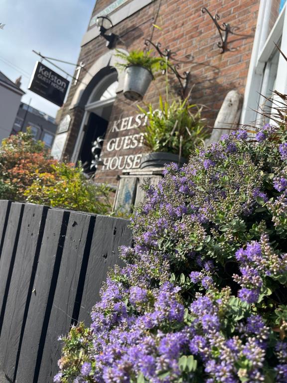 a bunch of purple flowers in front of a building at Kelston Guest House in Weymouth
