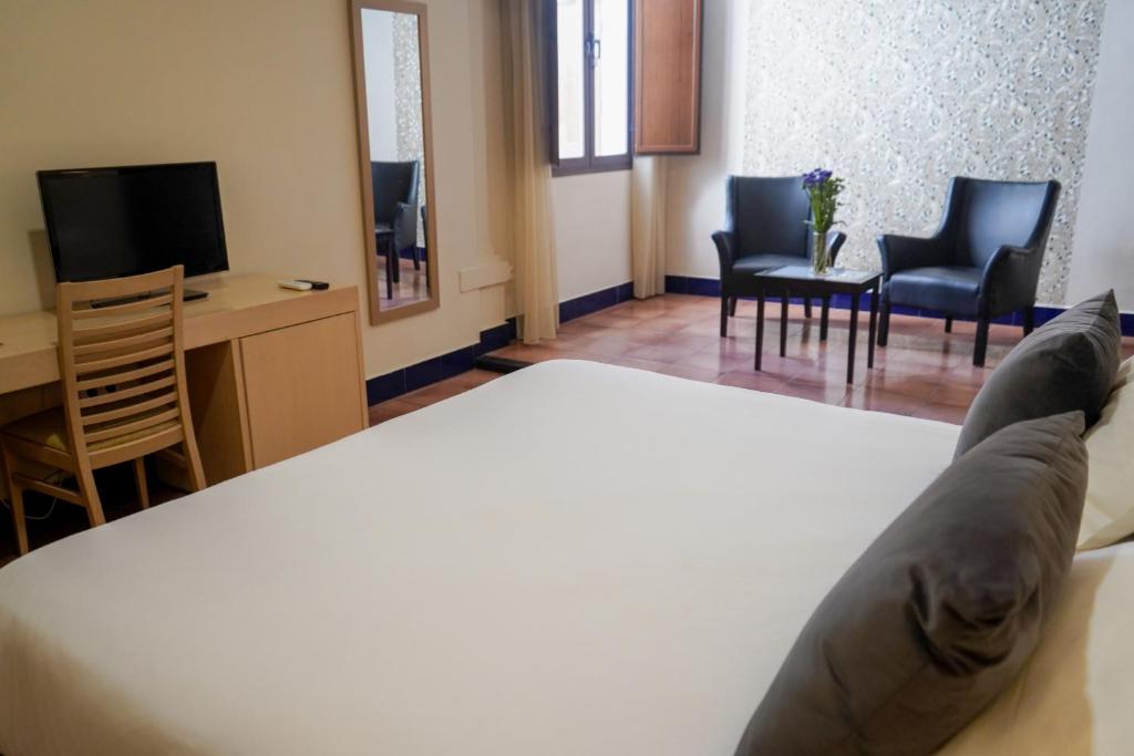 TV a/nebo společenská místnost v ubytování Hotel Rosaleda Don Pedro