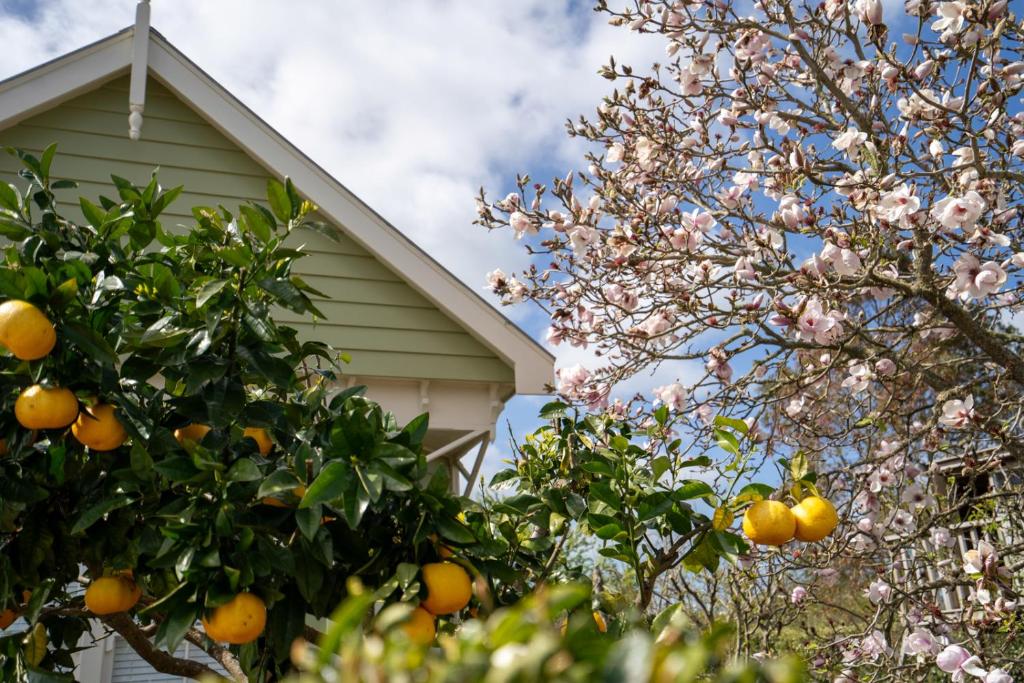 Milton Luxury Villa Accomodation - Resim 25