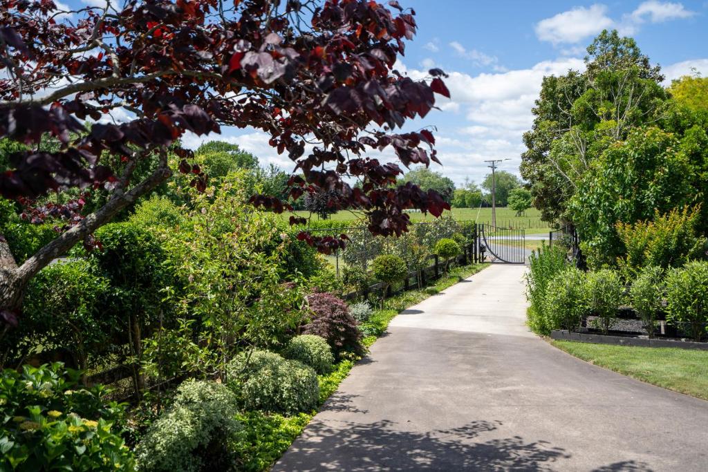 Milton Luxury Villa Accomodation - Resim 18