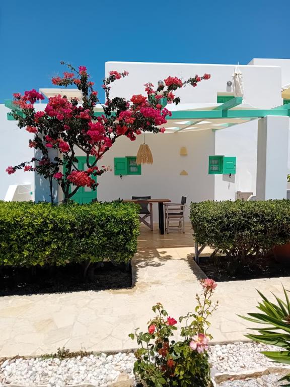 Psilandis Studios - 13