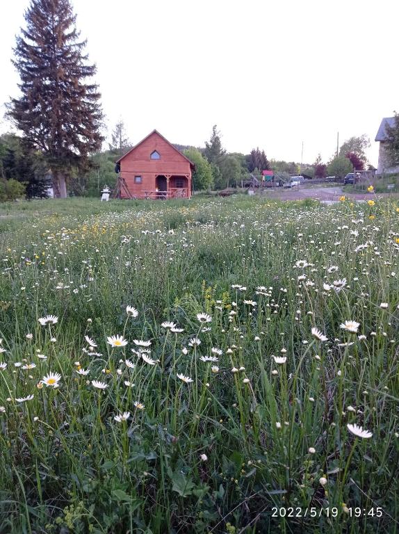 Vonkajšia záhrada v ubytovaní Domek nad Potokiem