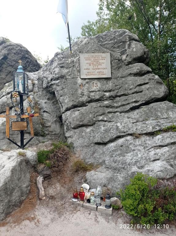 Príroda v okolí horskej chaty