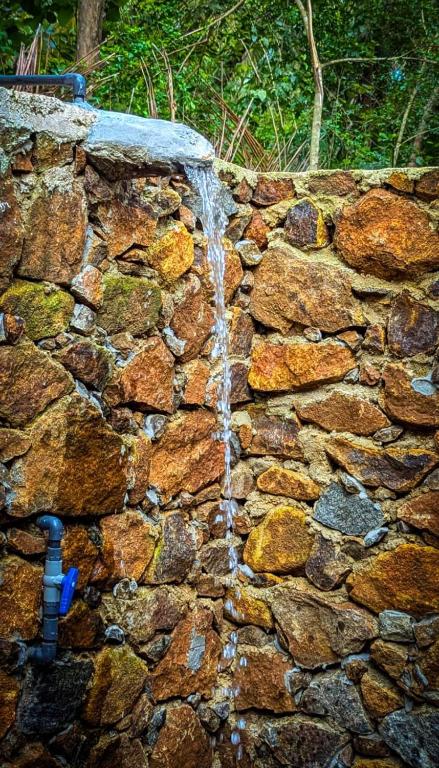 Nature World Udawalawe - 14