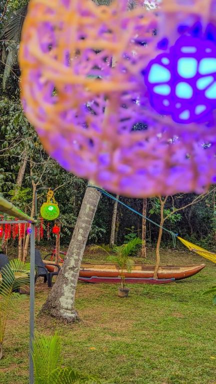 Nature World Udawalawe - 15