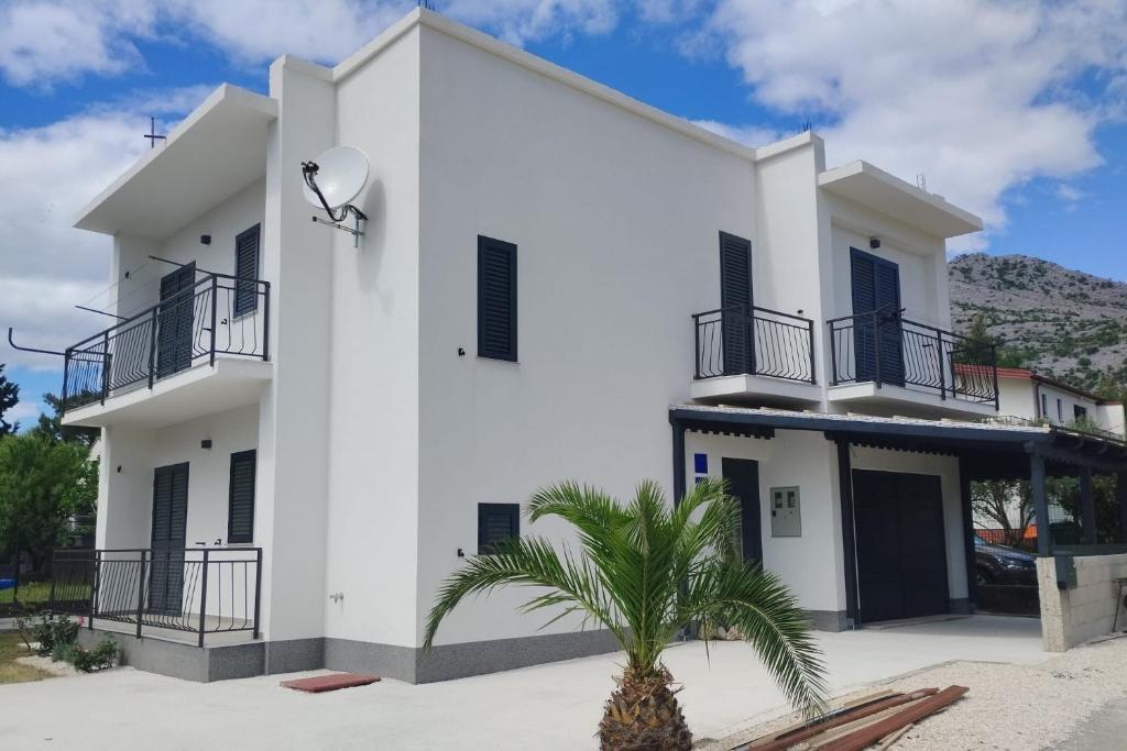 a white building with a palm tree in front of it at Apartments and rooms with parking space Starigrad, Paklenica - 24535 in Starigrad-Paklenica