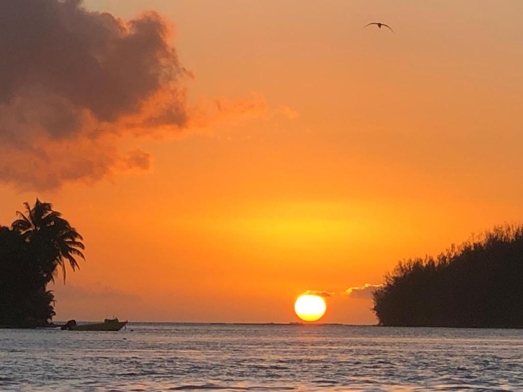 a sunset over the ocean with a palm tree and a boat at Beach Lifestyle Bungalow in Motu Tiahura
