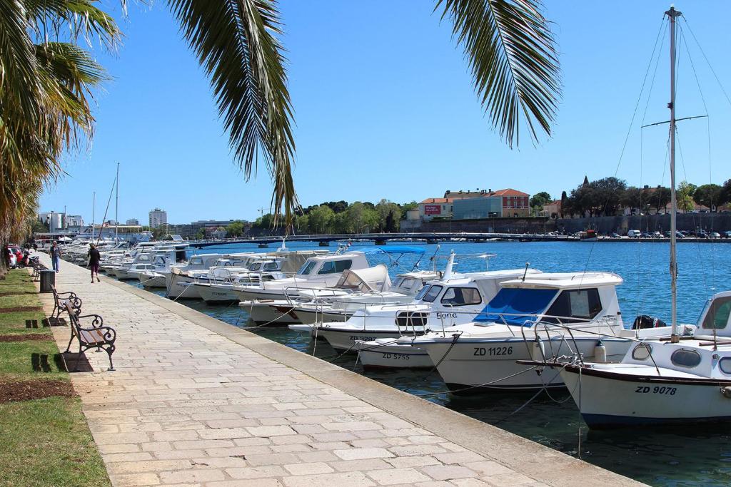 a bunch of boats docked in a marina with palm trees at Studio R&B in Zadar