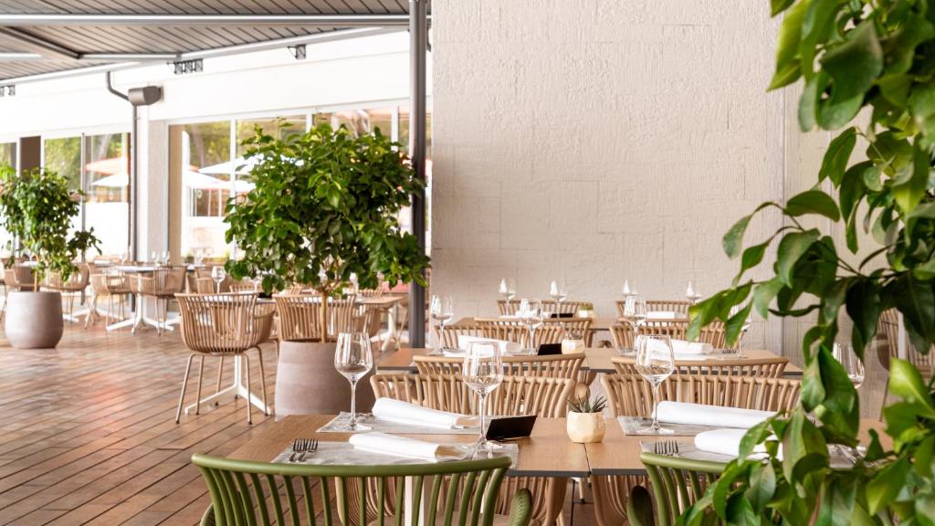 Restaurace v ubytování Hotel Pelegrin Plava Laguna