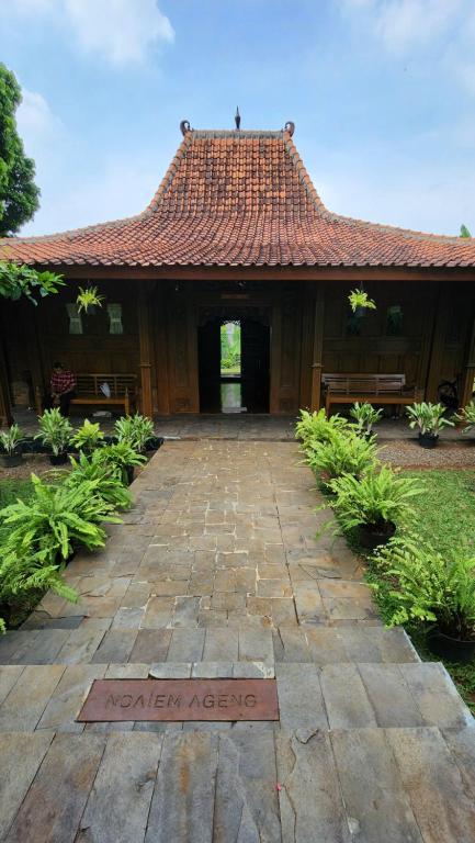 Zahrada ubytování Peaceful Villa with Spacious Lush Garden