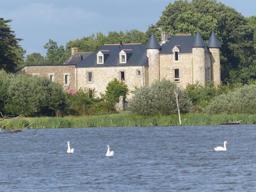 deux cygnes dans l'eau devant un château dans l'établissement Domaine de kerbillec, à Theix