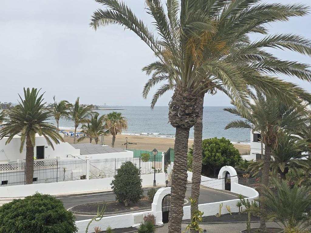 a palm tree in front of a beach at Costa Luz BL 4 6 in Puerto del Carmen