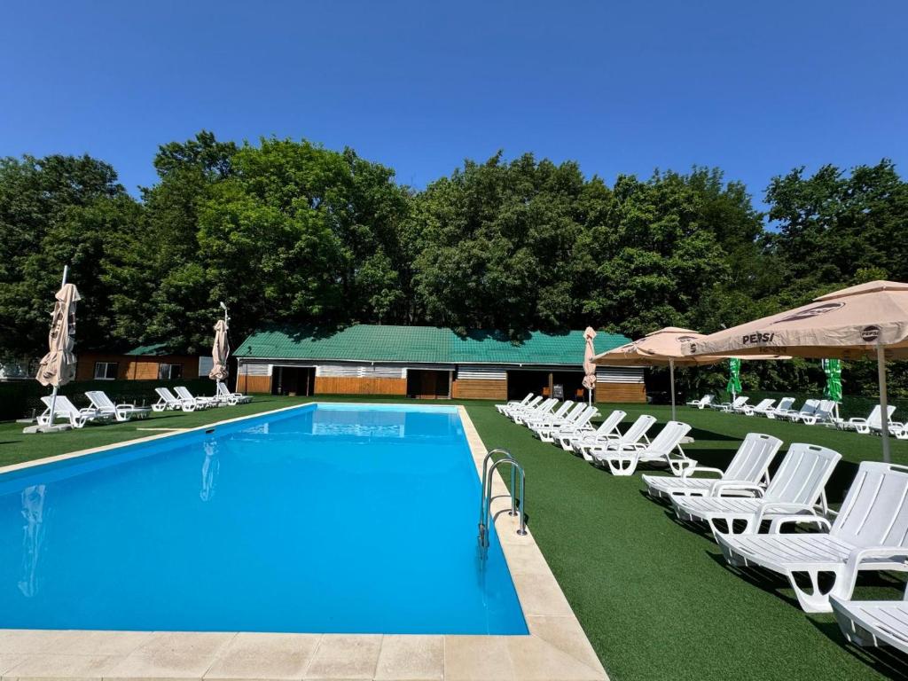 Bazén v ubytování Hotel Doi Haiduci nebo v jeho okolí