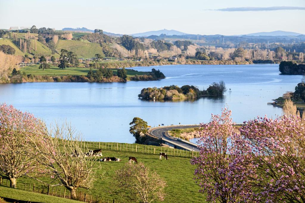 Lakeview Lodge Karapiro - Resim 23