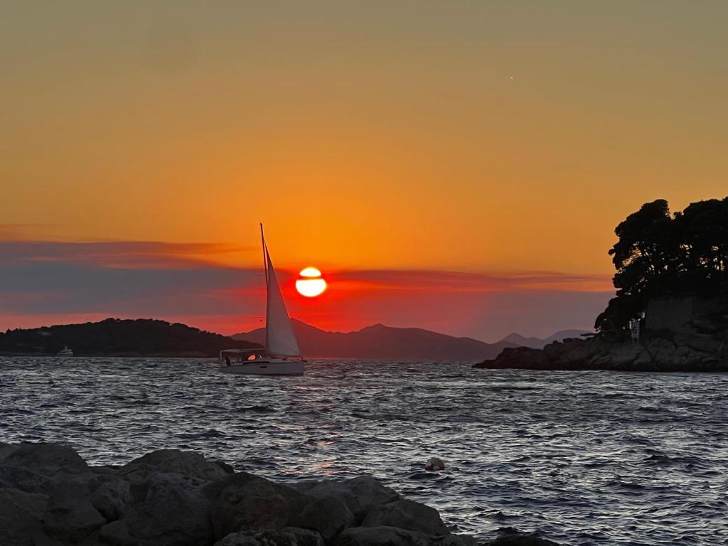 Apartments Adriatic Blue - 14