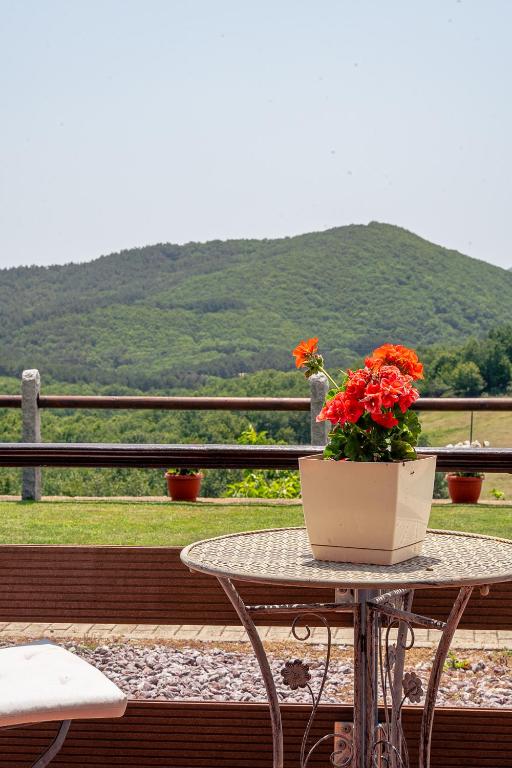 916 Mountain Resort - 8