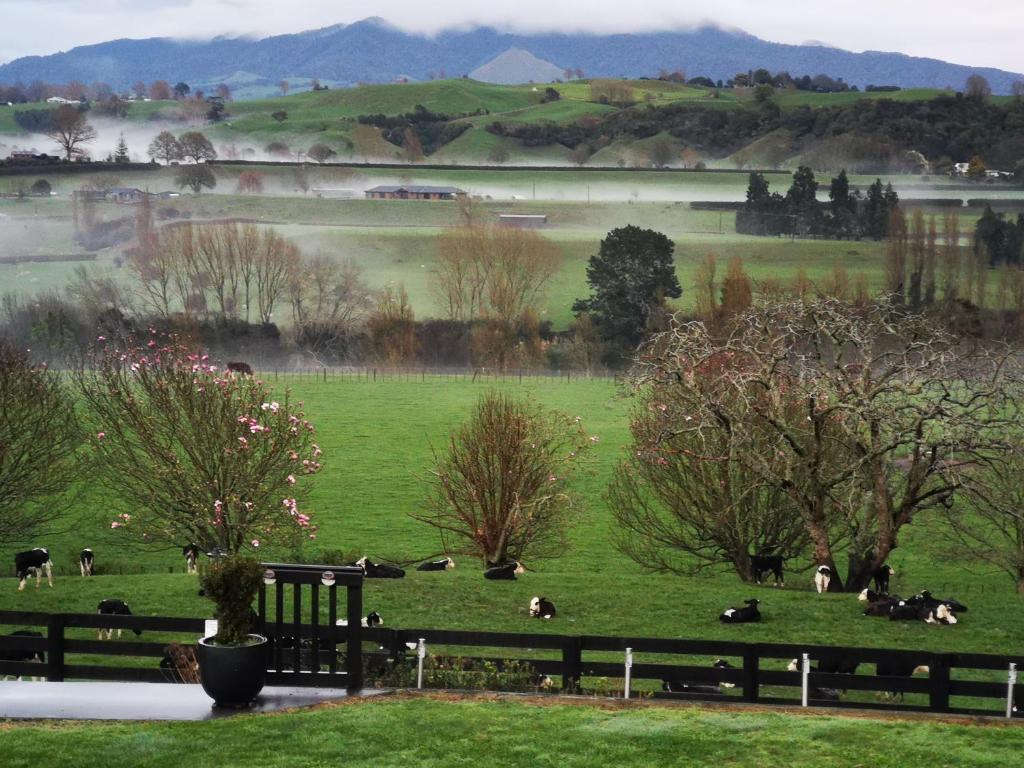 Lakeview Lodge Karapiro - Resim 41