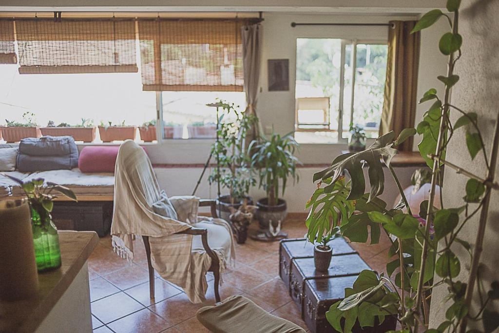 un salon avec des plantes en pot et un canapé dans l'établissement Maison atypique avec vue colline & terrasse cocoon, à Montfort-sur-Argens