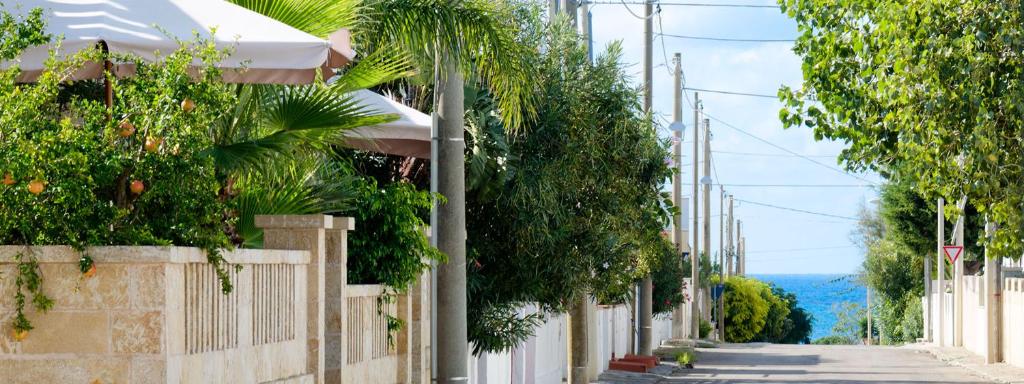 丽都玛里尼Residence Salù Lido Marini的一条有树木和栅栏的空街道