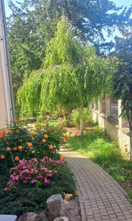 Zahrada ubytování Villa Walir - Spa Hotel Garni SUPERIOR