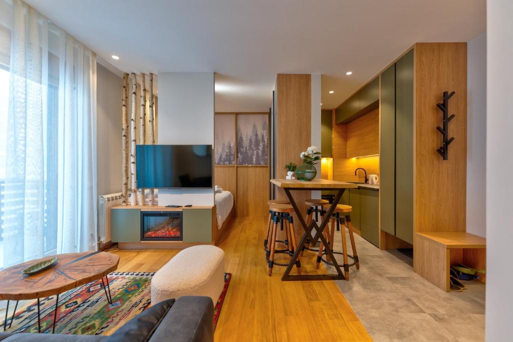 Televiisor ja/või meelelahutuskeskus majutusasutuses Snowy woods Zlatibor