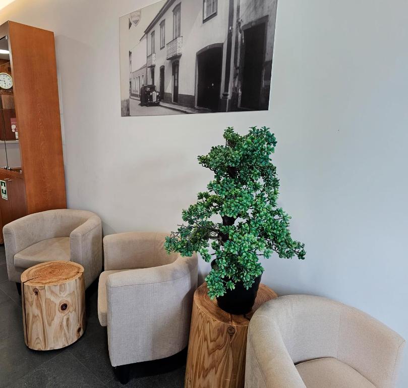 Room & Go by Lince - Resim 9