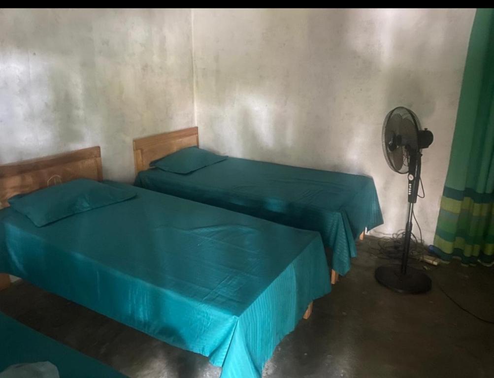 a bedroom with two beds with blue sheets and a fan at accomodation katunayaka in Negombo