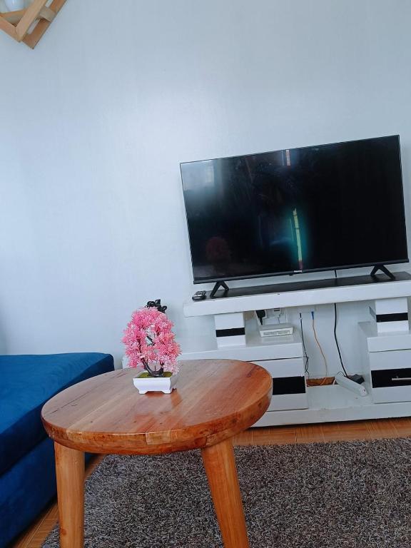 TV a/nebo společenská místnost v ubytování Modern Stay Ruaka
