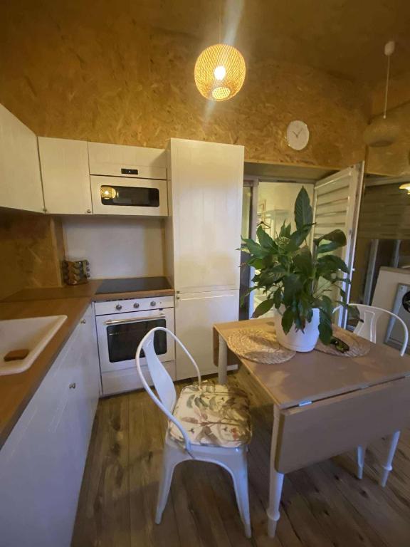 a kitchen with a table with a plant on it at Solne Apartamenty Luna 4 in Wieliczka
