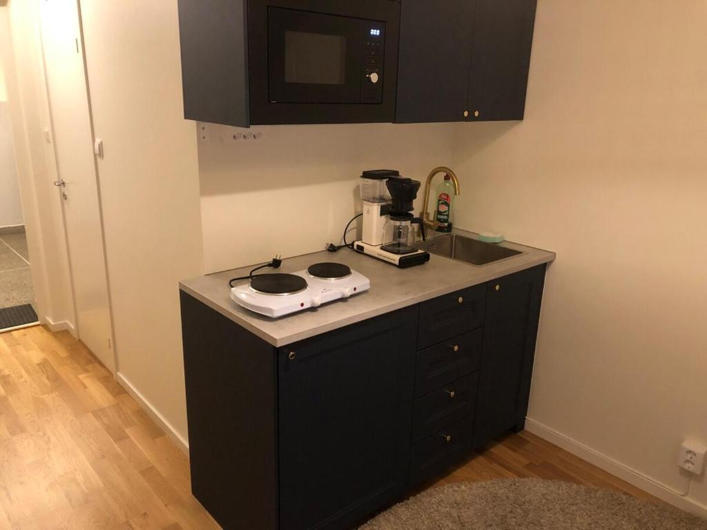 Kuchyň nebo kuchyňský kout v ubytování Small studio apartment in the city center