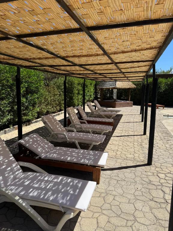 Fotografie z fotogalerie ubytování Refugios Pisco Elqui v destinaci Pisco Elqui