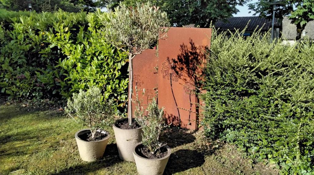 l'atelier des reves - 