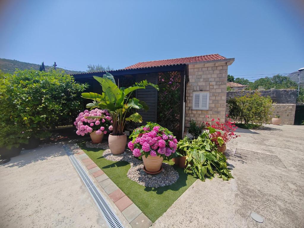 a garden with potted plants in front of a house at Dubrovnik house - Leni in Komolac