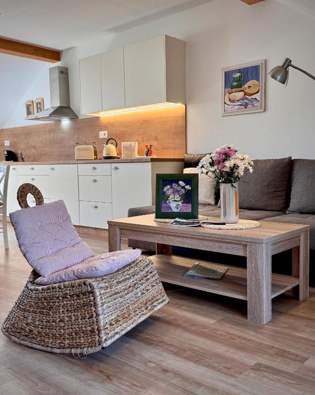 Kuchyň nebo kuchyňský kout v ubytování Apartmány Bašta & Wellness