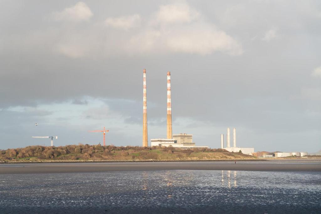 The Merry Cobbler - Resim 12