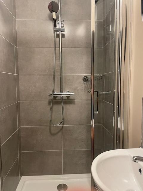 e bagno con doccia, servizi igienici e lavandino. di The Merry Cobbler a Dublino