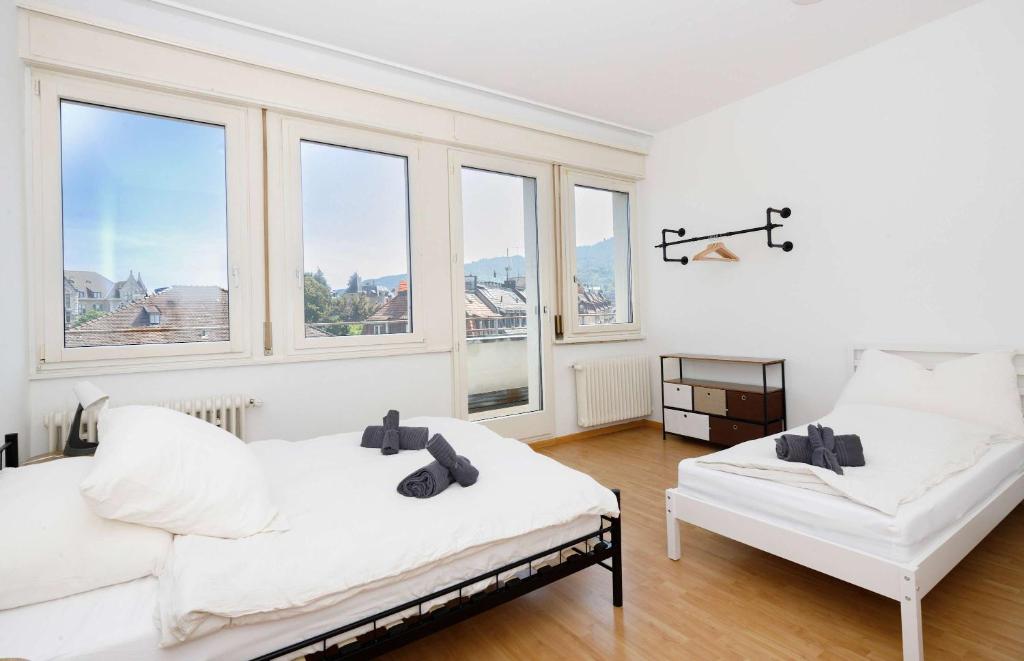 Spacious Zurich Apt Huge Terrace & Views