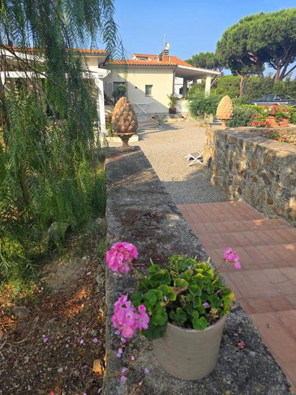 Zahrada ubytování Podere Grandolfi B&B