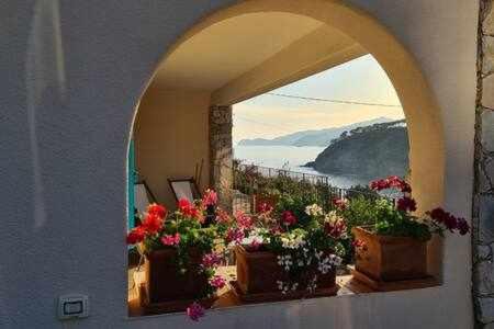 an arched window with flowers on a wall at Villa Meridiana 2 - a due passi dal mare in Trappola