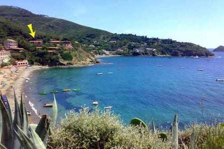 a view of a beach and the ocean at Appartamento a picco sul mare "La Meridiana" in Capoliveri