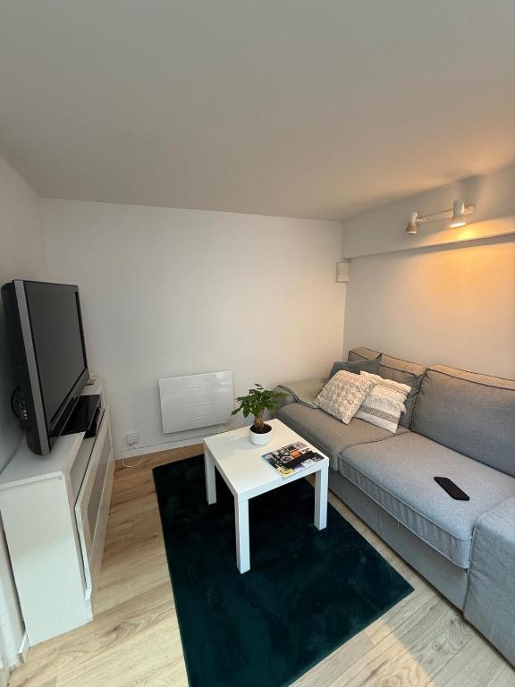 un salon avec un canapé et une télévision dans l'établissement Lille, appartement de charme, à Lille