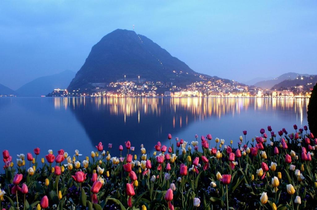 a bunch of flowers in the water with a mountain at Luxurious Lugano Apartment with City Views in Lugano