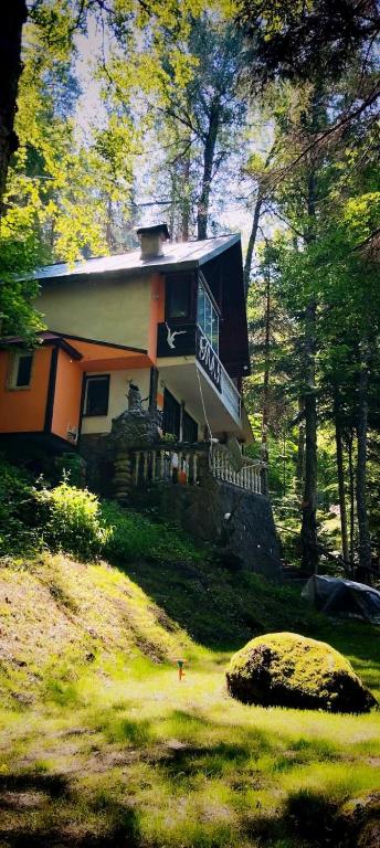 Villa Byala Luna - Guest House - Housity