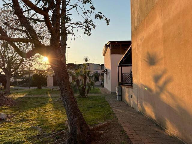 un albero accanto a un edificio con il sole che tramonta di Casa vacanza Foceverde lido a Lido di Latina