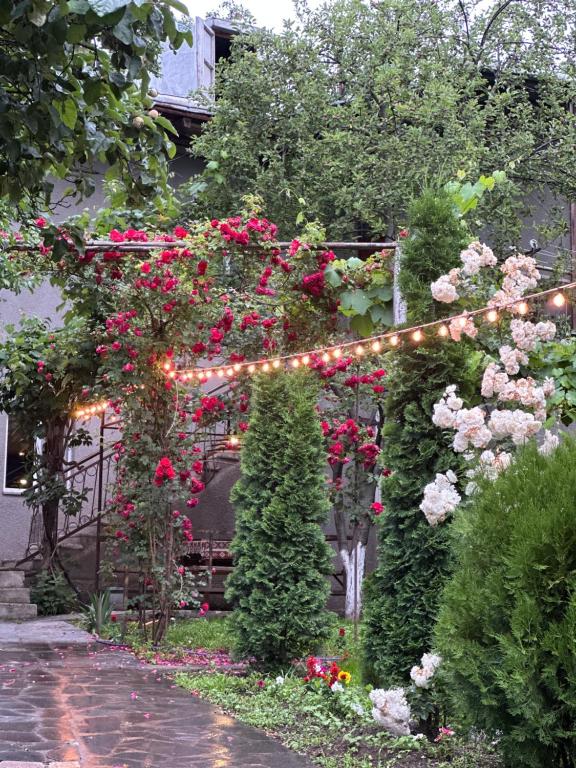 Zahrada ubytování Narek B&B